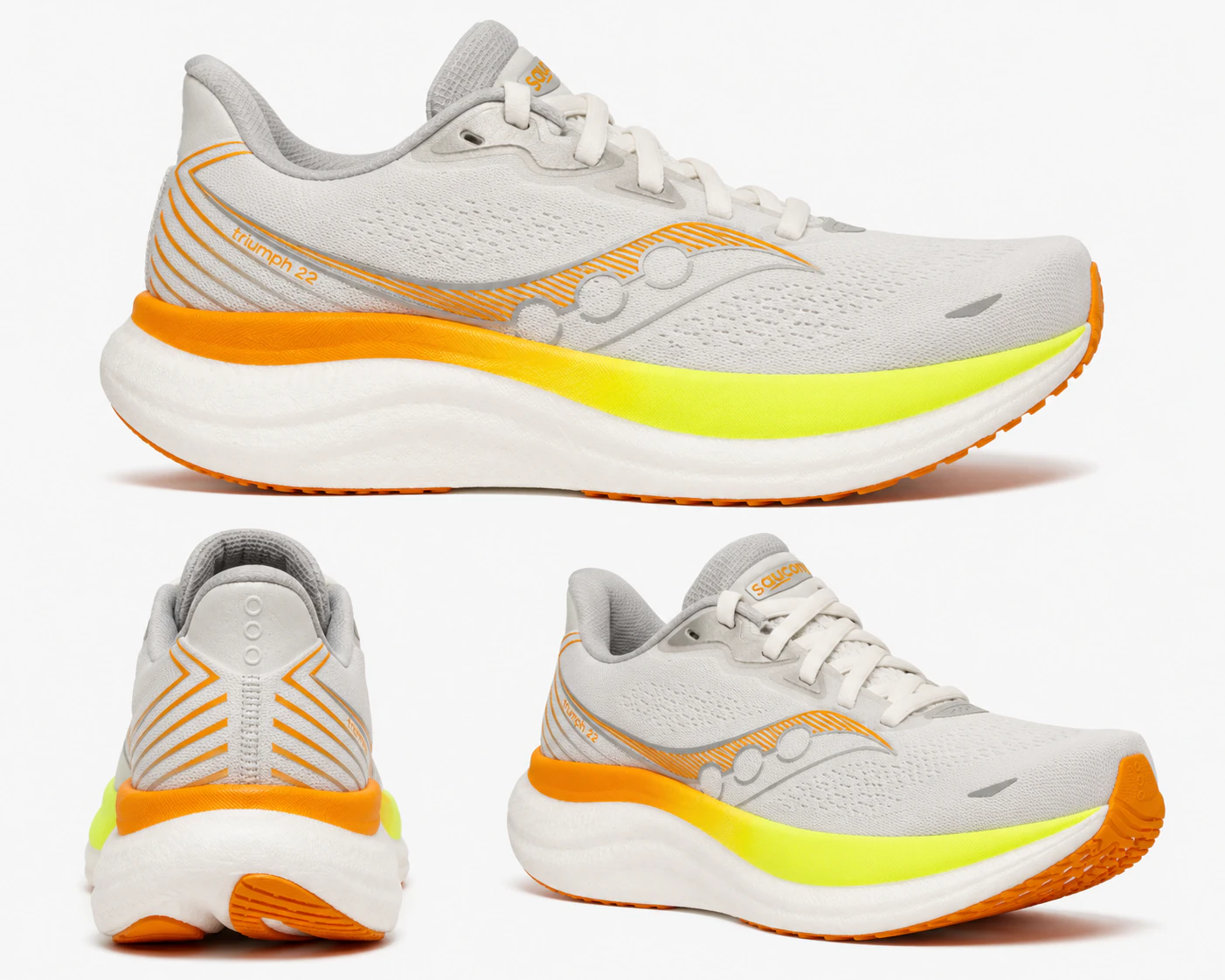 Triumph 23 multicolored | Training
